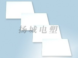 ���ķ���ϩ(PTFE)��